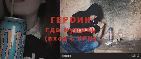 индика Алексин