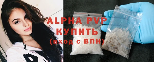 индика Алексин