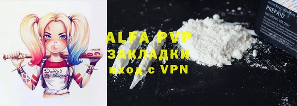 индика Алексин