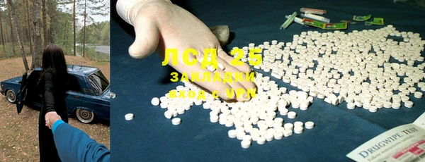 индика Алексин