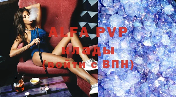 индика Алексин