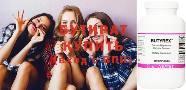 индика Алексин