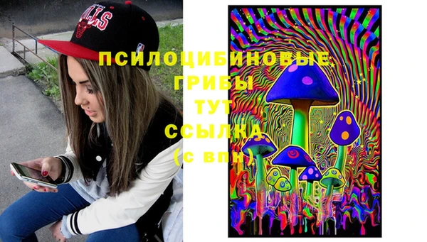 таблы Алзамай