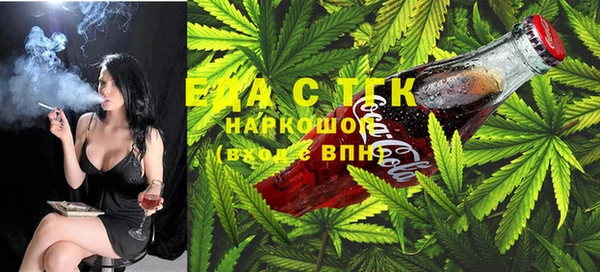 индика Алексин