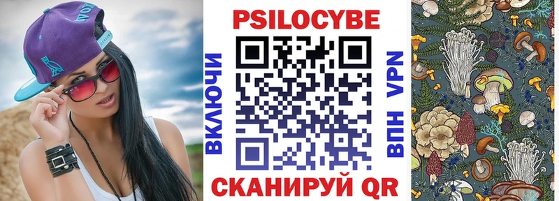 как найти   Баймак  Псилоцибиновые грибы Psilocybine cubensis 